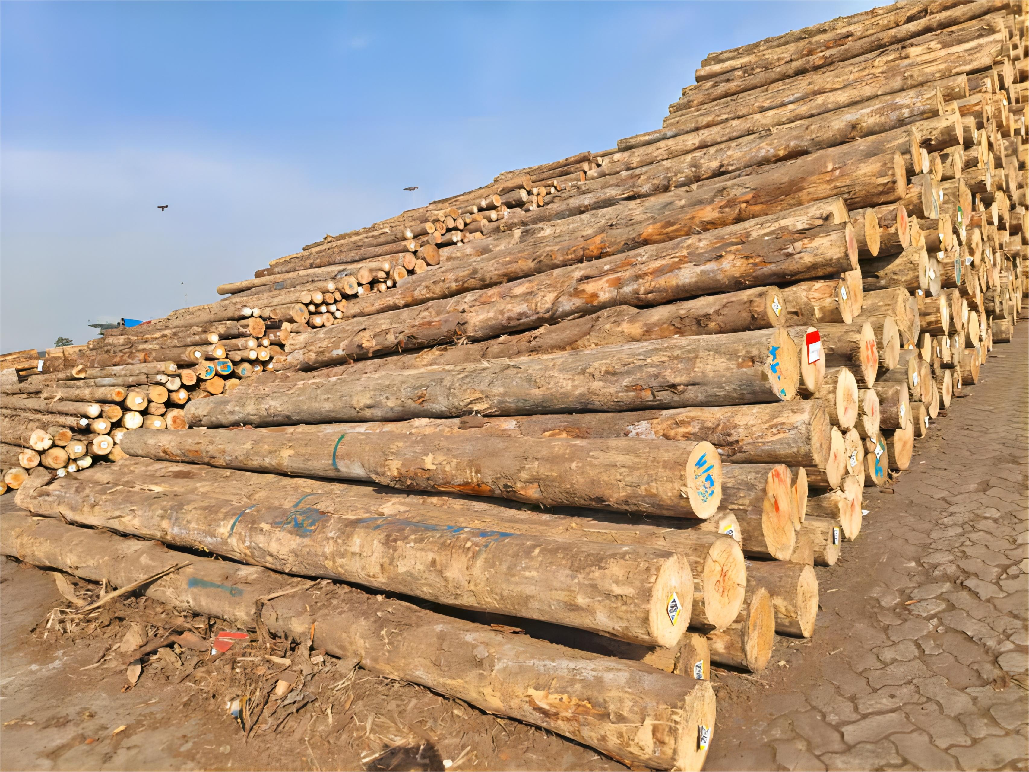 1xBET·Signup(中国区)-官方网站