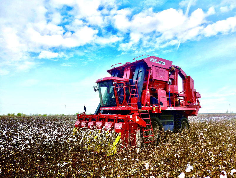 1xBET·Signup(中国区)-官方网站