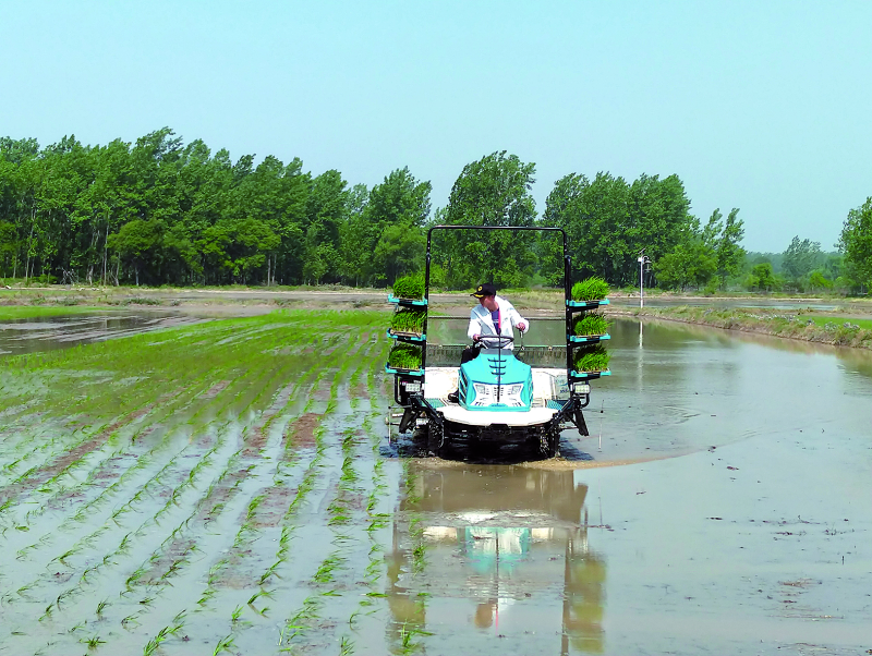 1xBET·Signup(中国区)-官方网站