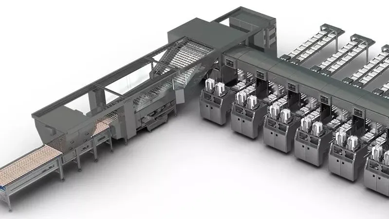 1xBET·Signup(中国区)-官方网站